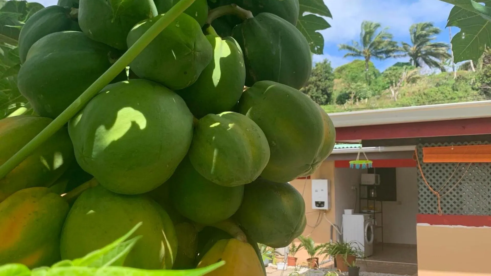 Lemon House Hotel Maroe French Polynesia